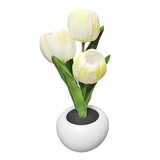 Pot Nightlights Tulips Table Lamp Room Deco