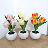 Pot Nightlights Tulips Table Lamp Room Deco