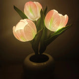 Pot Nightlights Tulips Table Lamp Room Deco